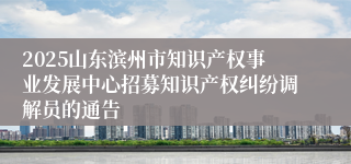 2025山东滨州市知识产权事业发展中心招募知识产权纠纷调解员的通告