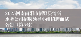 2025河南南阳市新野县淯兴水务公司招聘领导小组招聘面试公告（第5号）