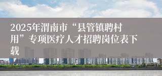2025年渭南市“县管镇聘村用”专项医疗人才招聘岗位表下载