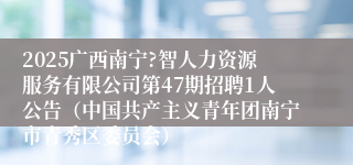 2025广西南宁?智人力资源服务有限公司第47期招聘1人公告(中国共产主义青年团南宁市青秀区委员会)