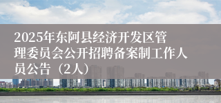 2025年东阿县经济开发区管理委员会公开招聘备案制工作人员公告(2人)