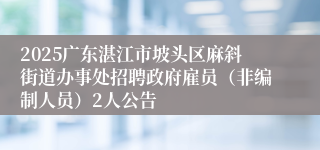 2025广东湛江市坡头区麻斜街道办事处招聘政府雇员(非编制人员)2人公告