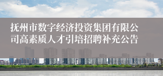抚州市数字经济投资集团有限公司高素质人才引培招聘补充公告