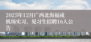 2025年12月广西北海福成机场实习、见习生招聘16人公告