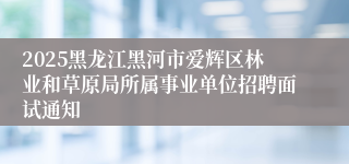 2025黑龙江黑河市爱辉区林业和草原局所属事业单位招聘面试通知