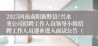 2025河南南阳新野县?兴水务公司招聘工作人员领导小组招聘工作人员递补进入面试公告（第6号）