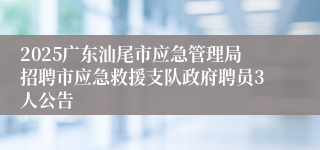 2025广东汕尾市应急管理局招聘市应急救援支队政府聘员3人公告