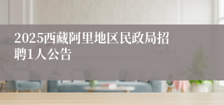 2025西藏阿里地区民政局招聘1人公告