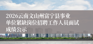 2026云南文山州富宁县事业单位紧缺岗位招聘工作人员面试成绩公示