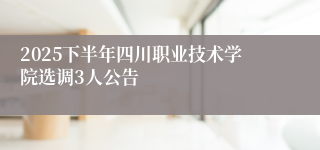 2025下半年四川职业技术学院选调3人公告