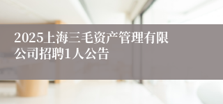 2025上海三毛资产管理有限公司招聘1人公告