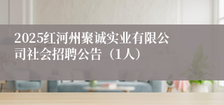 2025红河州聚诚实业有限公司社会招聘公告（1人）