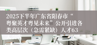 2025下半年广东省阳春市“粤聚英才粤见未来”公开引进各类高层次(急需紧缺)人才63人公告