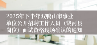 2025年下半年双鸭山市事业单位公开招聘工作人员(饶河县岗位)面试资格现场确认的通知