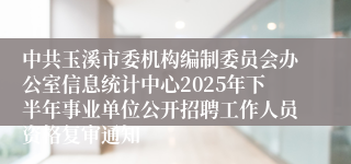 中共玉溪市委机构编制委员会办公室信息统计中心2025年下半年事业单位公开招聘工作人员资格复审通知