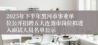 2025年下半年黑河市事业单位公开招聘五大连池市岗位拟进入面试人员名单公示