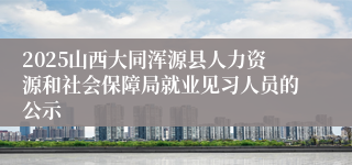 2025山西大同浑源县人力资源和社会保障局就业见习人员的公示
