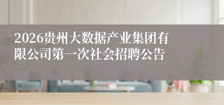 2026贵州大数据产业集团有限公司第一次社会招聘公告