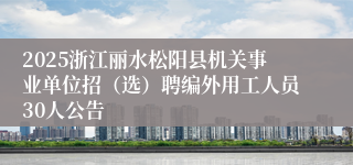 2025浙江丽水松阳县机关事业单位招(选)聘编外用工人员30人公告
