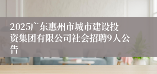 2025广东惠州市城市建设投资集团有限公司社会招聘9人公告