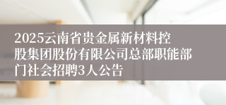 2025云南省贵金属新材料控股集团股份有限公司总部职能部门社会招聘3人公告