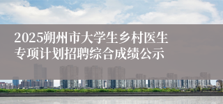 2025朔州市大学生乡村医生专项计划招聘综合成绩公示