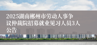 2025湖南郴州市劳动人事争议仲裁院招募就业见习人员3人公告