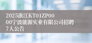 2025浙江KT01ZP0000宁波能源实业有限公司招聘7人公告
