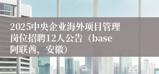 2025中央企业海外项目管理岗位招聘12人公告（base阿联酋，安徽）