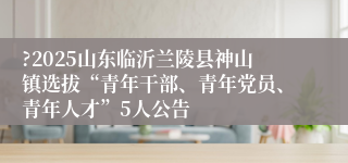 ?2025山东临沂兰陵县神山镇选拔“青年干部、青年党员、青年人才”5人公告