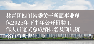 共青团四川省委关于所属事业单位2025年下半年公开招聘工作人员笔试总成绩排名及面试资格审查公告