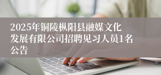 2025年铜陵枞阳县融媒文化发展有限公司招聘见习人员1名公告