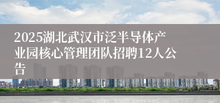 2025湖北武汉市泛半导体产业园核心管理团队招聘12人公告
