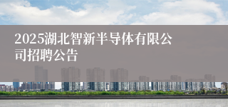 2025湖北智新半导体有限公司招聘公告