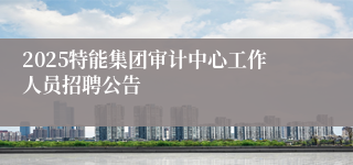 2025特能集团审计中心工作人员招聘公告