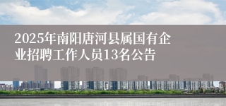 2025年南阳唐河县属国有企业招聘工作人员13名公告