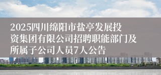 2025四川绵阳市盐亭发展投资集团有限公司招聘职能部门及所属子公司人员7人公告