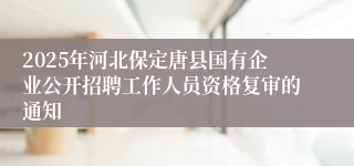 2025年河北保定唐县国有企业公开招聘工作人员资格复审的通知