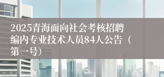 2025青海面向社会考核招聘编内专业技术人员84人公告（第一号）