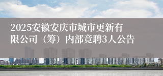2025安徽安庆市城市更新有限公司（筹）内部竞聘3人公告