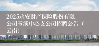 2025永安财产保险股份有限公司玉溪中心支公司招聘公告(云南)