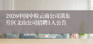 2026中国中检云南公司滇东片区文山公司招聘1人公告