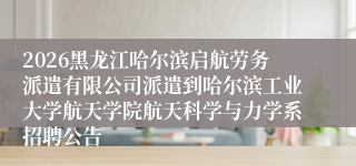 2026黑龙江哈尔滨启航劳务派遣有限公司派遣到哈尔滨工业大学航天学院航天科学与力学系招聘公告
