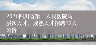 2026四川省第三人民医院高层次人才、成熟人才招聘12人公告