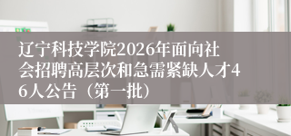 辽宁科技学院2026年面向社会招聘高层次和急需紧缺人才46人公告（第一批）