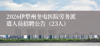 2026伊犁州奎屯医院劳务派遣人员招聘公告（23人）