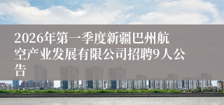 2026年第一季度新疆巴州航空产业发展有限公司招聘9人公告