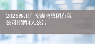 2026四川广安鑫鸿集团有限公司招聘4人公告