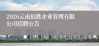 2026云南佰胜企业管理有限公司招聘公告