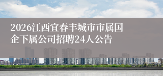 2026江西宜春丰城市市属国企下属公司招聘24人公告